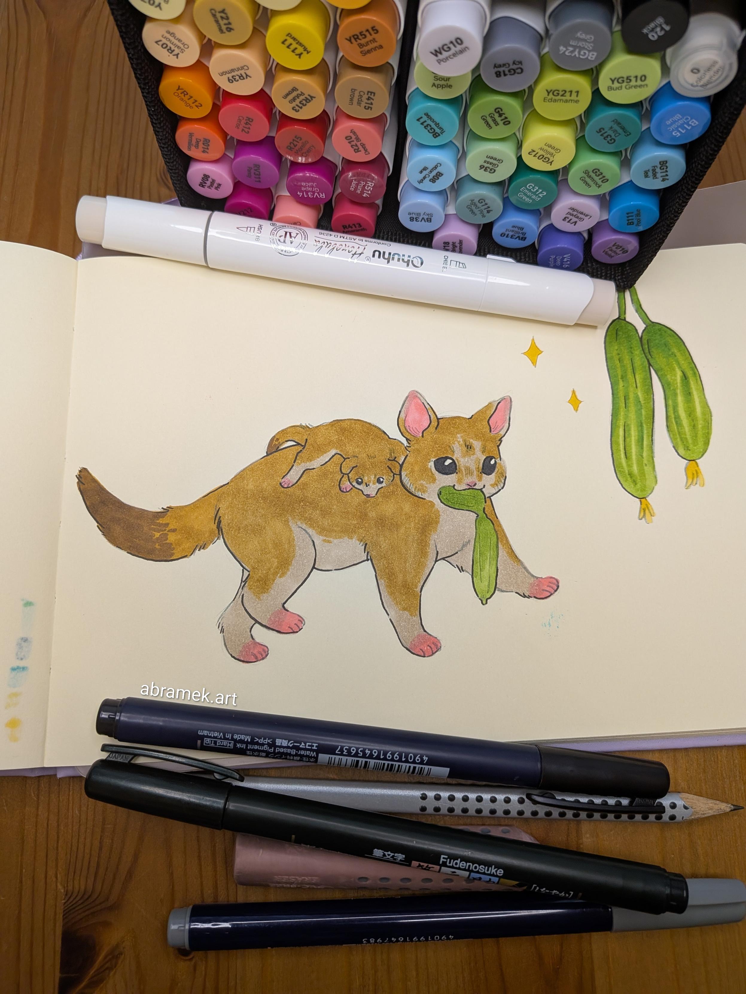 A drawing of a brush tail possum carrying a baby on its back and a cucumber in its mouth.