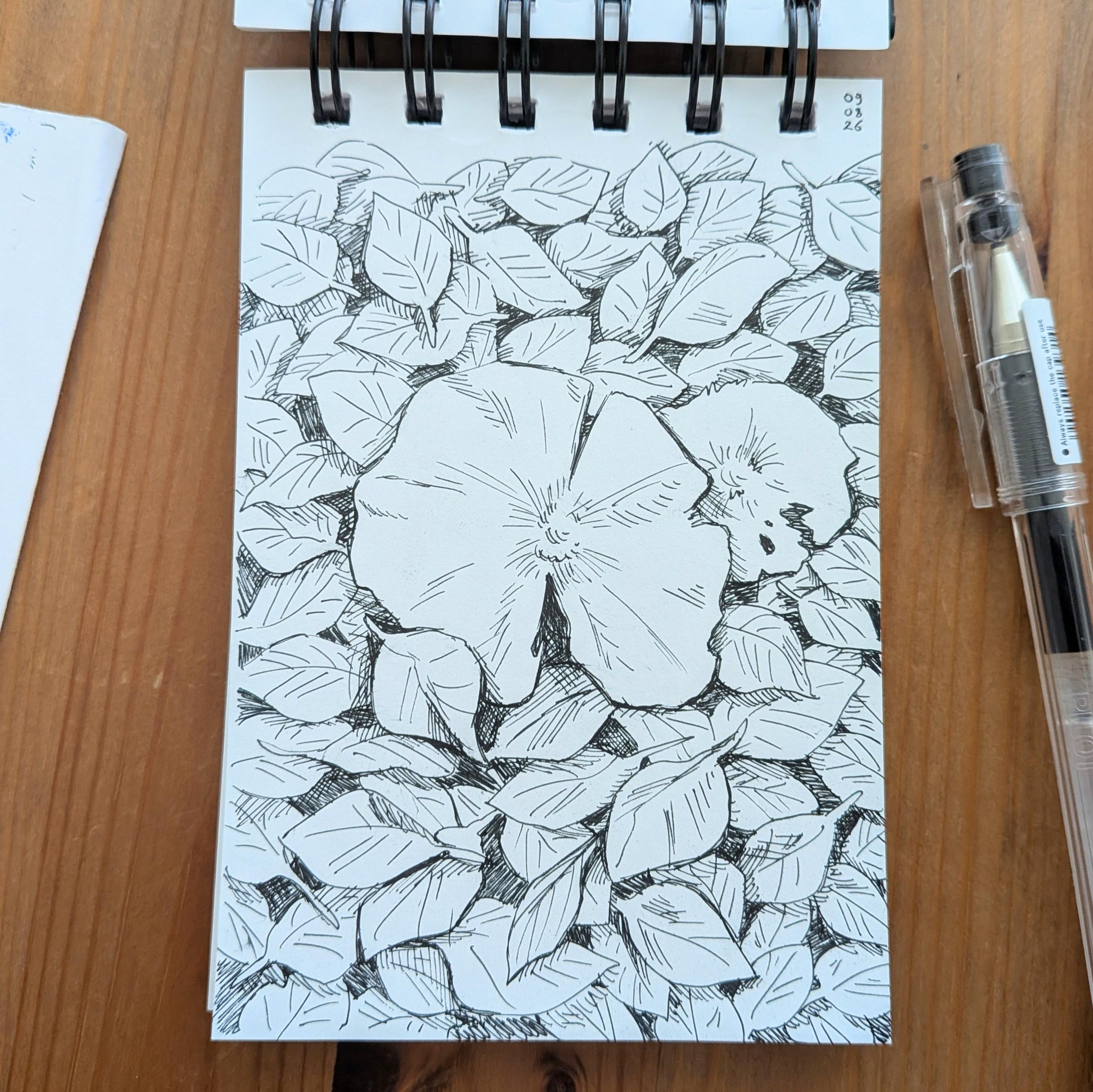 A pen sketch of two mushrooms on a ground covered with dried fallen leaves.