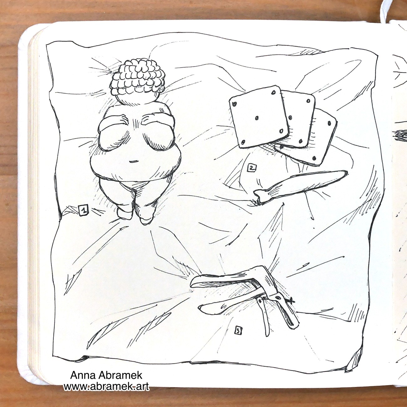 A pen drawing of three items laid out on a cloth with numbers. The first one is a Venus of Willendorf statue, the second one is a set of tools for tablet weaving, the third one is a metal speculum.