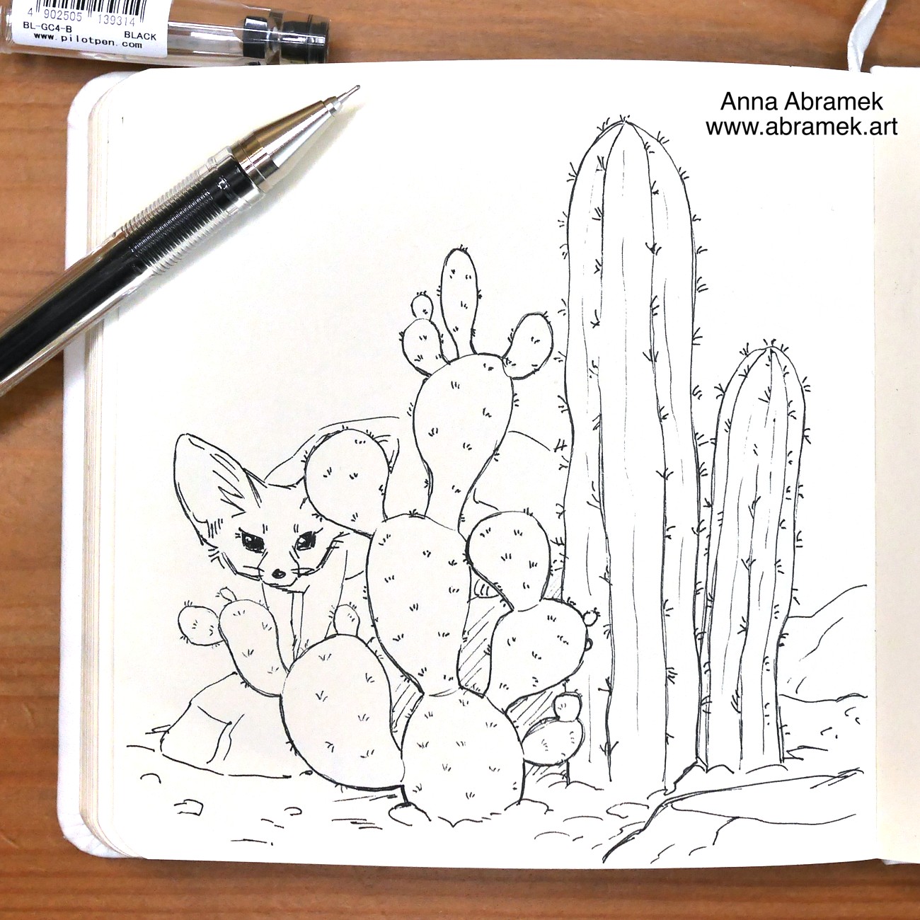 A pen drawing of a fennec fox hiding behind cactuses.