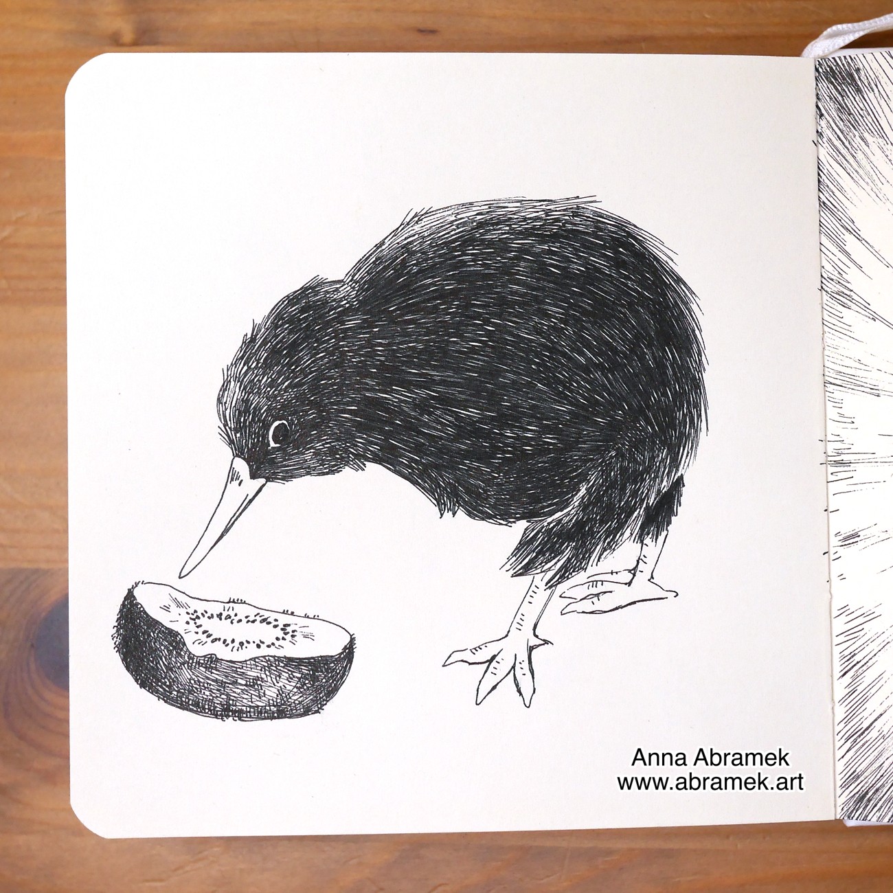 A pen drawing of a kiwi bird eating a kiwi fruit.